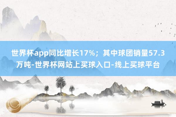 世界杯app同比增长17%；其中球团销量57.3万吨-世界杯网站上买球入口-线上买球平台