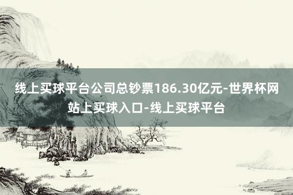 线上买球平台公司总钞票186.30亿元-世界杯网站上买球入口-线上买球平台
