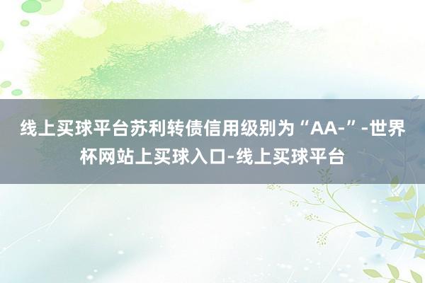 线上买球平台苏利转债信用级别为“AA-”-世界杯网站上买球入口-线上买球平台