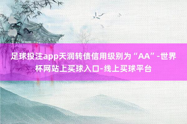 足球投注app天润转债信用级别为“AA”-世界杯网站上买球入口-线上买球平台