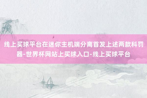 线上买球平台在迷你主机端分离首发上述两款科罚器-世界杯网站上买球入口-线上买球平台
